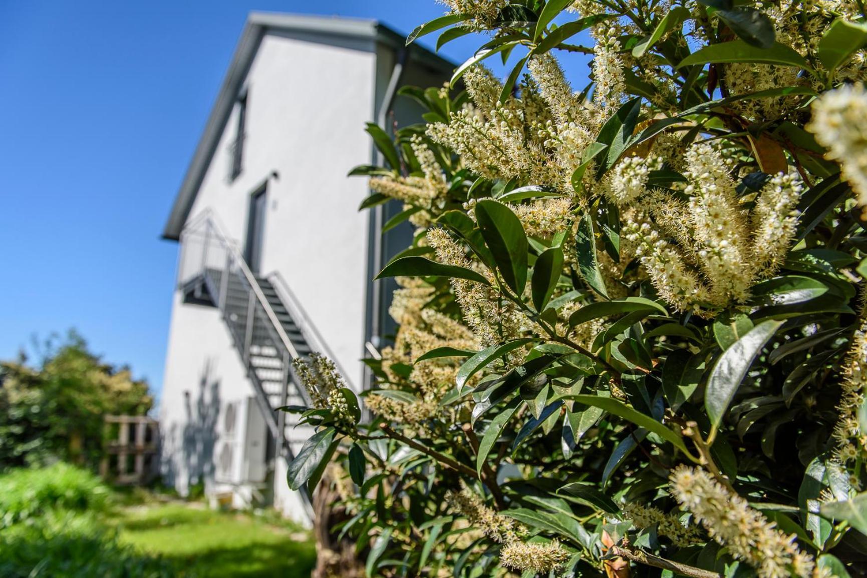 Charming Loft Ferienwohnung Bodensee Meckenbeuren Exterior photo